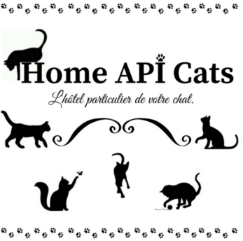 Partenaire Home Api Cats